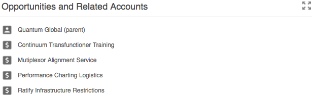 Opportunities and Related Accounts Widget