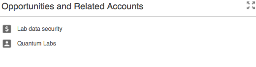 Related Accounts and Opportunities Widget